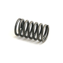 Intake Valve Spring
