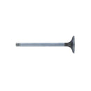 Exhaust Valve