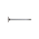 Exhaust Valve