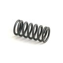 Inner Valve Spring