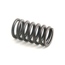 Valve Spring