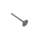 Intake Valve