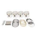 Rebore Kit - Std