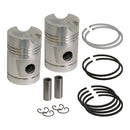 Rebore Kit - Std
