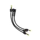 Spark Plug Wire Set (Electronic)