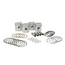 Rebore Kit - Std