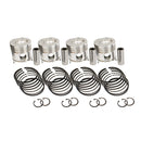 Rebore Kit - .040