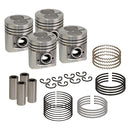Rebore Kit - .040