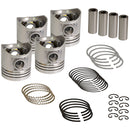 Rebore Kit - Std